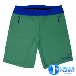 dewerstone Life Shorts 2.0 - green/blue